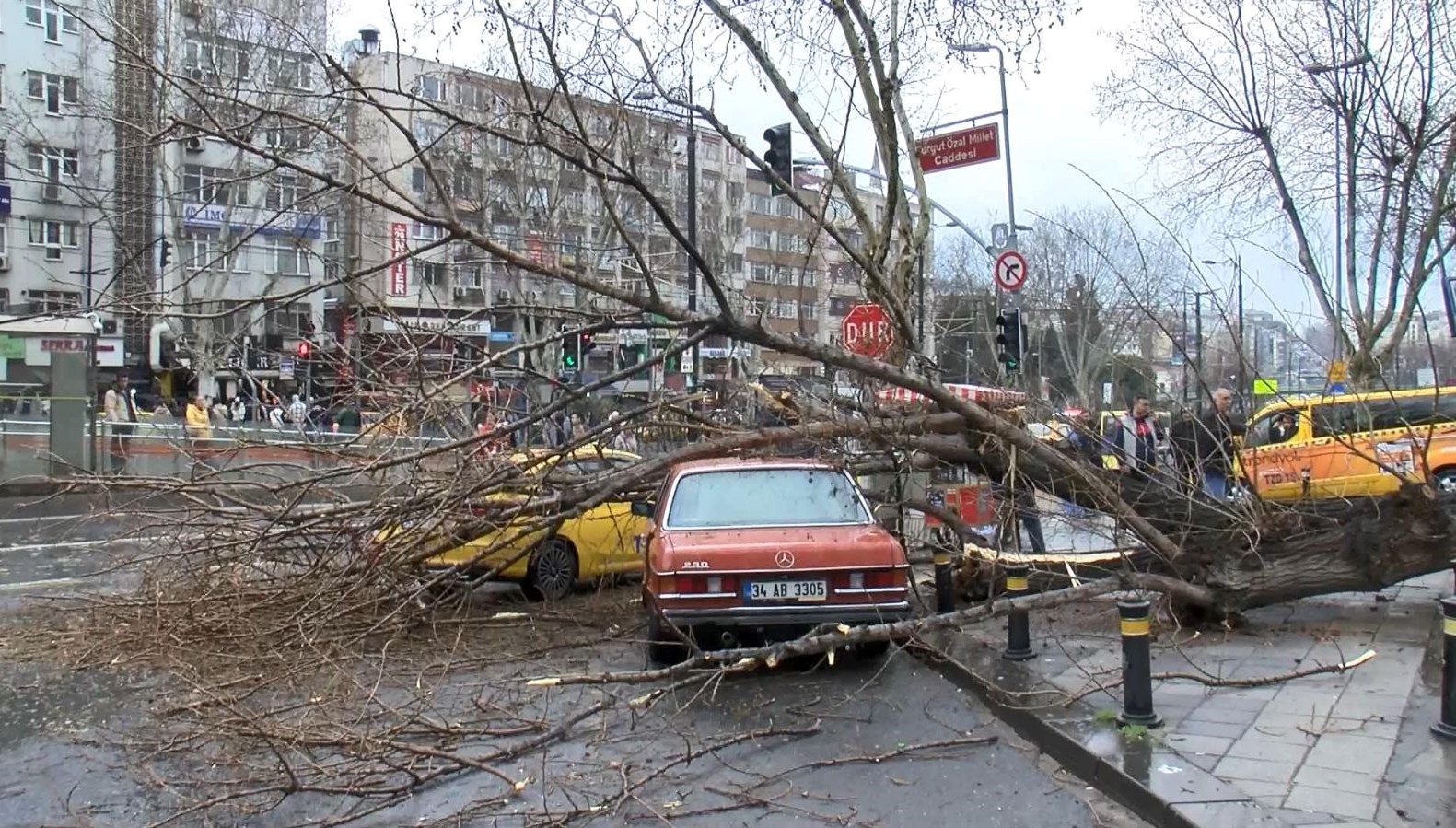 İstanbul’da ağaç 2 aracın üzerine devrildi