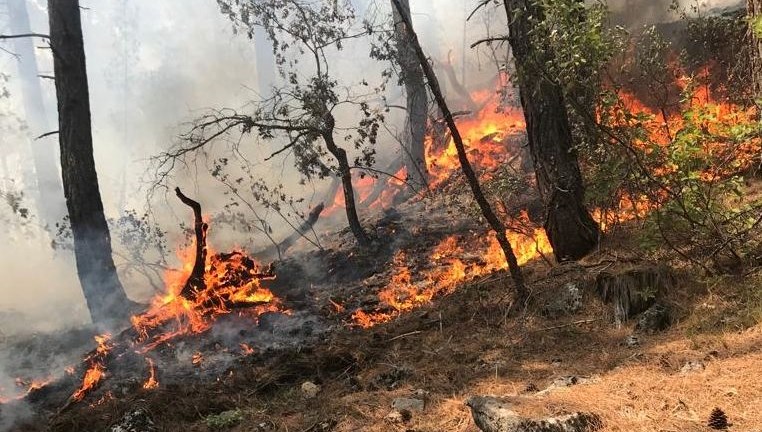 Orman kanunu düzenlemesi maddeleşti: Yangında hayatını kaybedenlere şehitlik statüsü verilecek