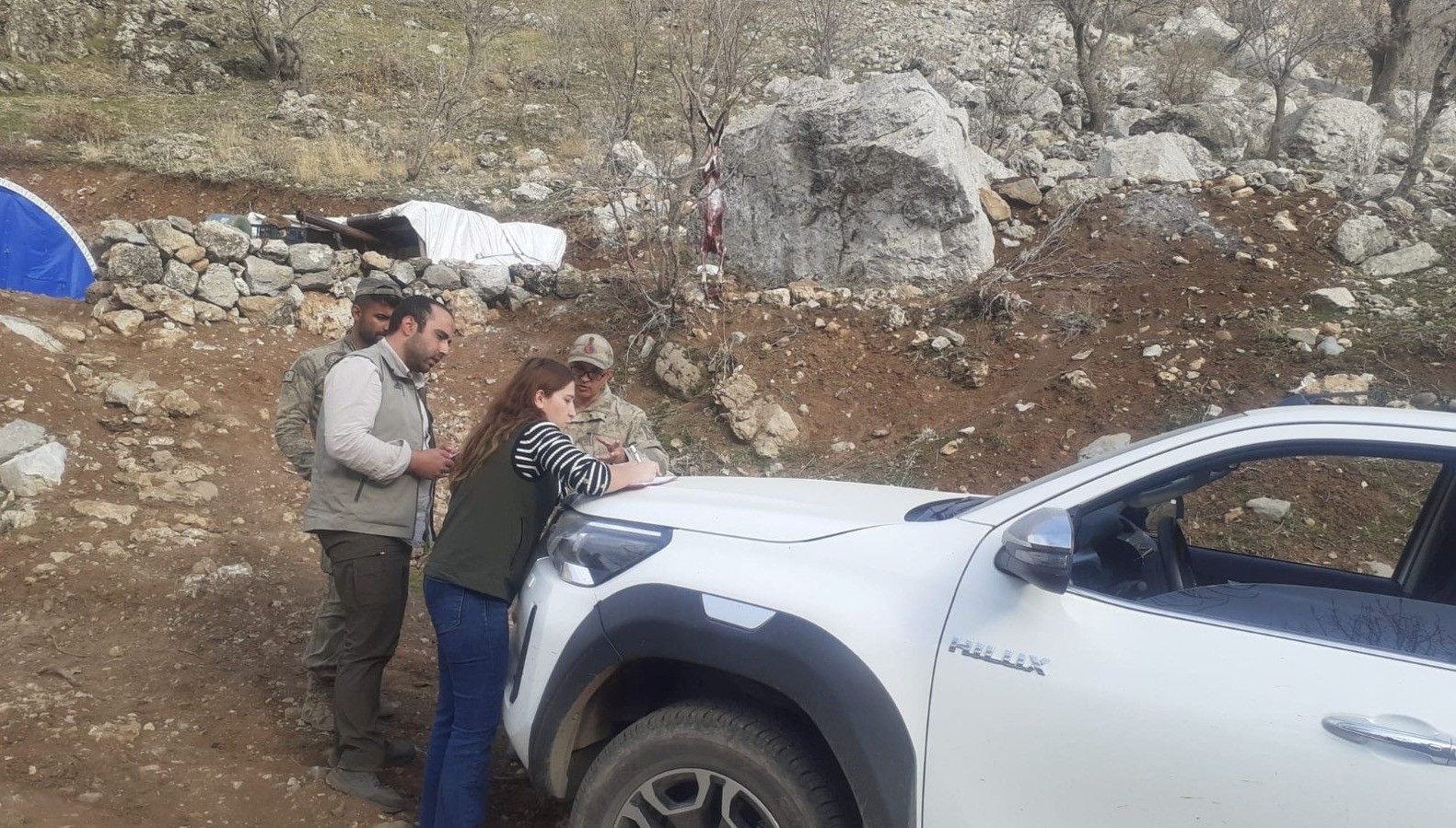 Şırnak’ta yaban keçisi avına 260 bin lira ceza