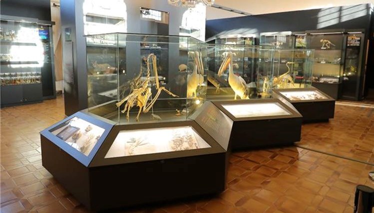 Trakya Üniversitesi Tabiat Tarihi Müzesi iki ayda 17 binden fazla ziyaretçi ağırladı