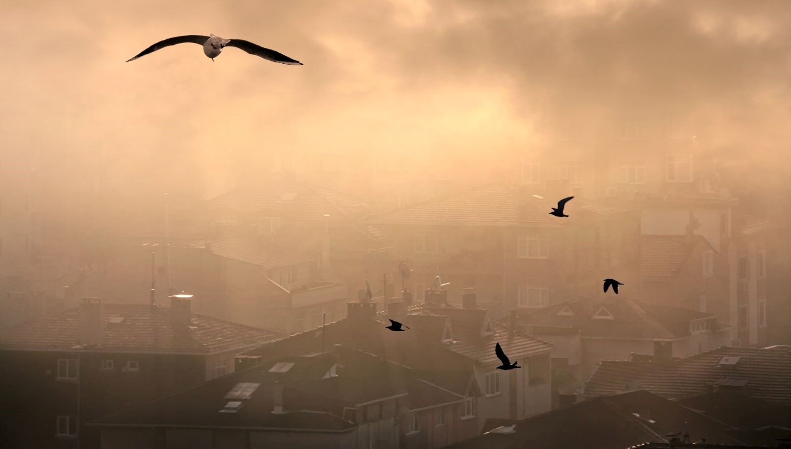 Türkiye’nin en kirli havaya sahip vilayetleri muhakkak oldu