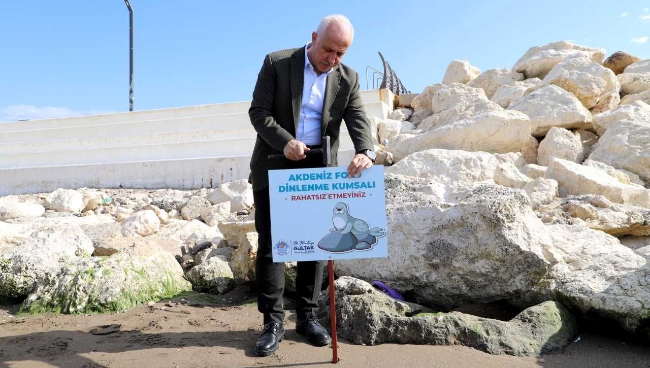 Mersin’de Akdeniz fokları için ihtar tabelası dikildi