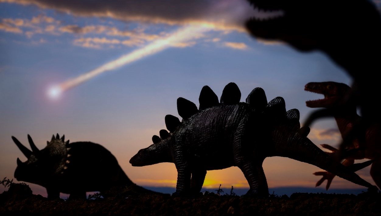 İngiltere’de “zırh derili” yeni dinozor çeşidine ilişkin fosil keşfedildi