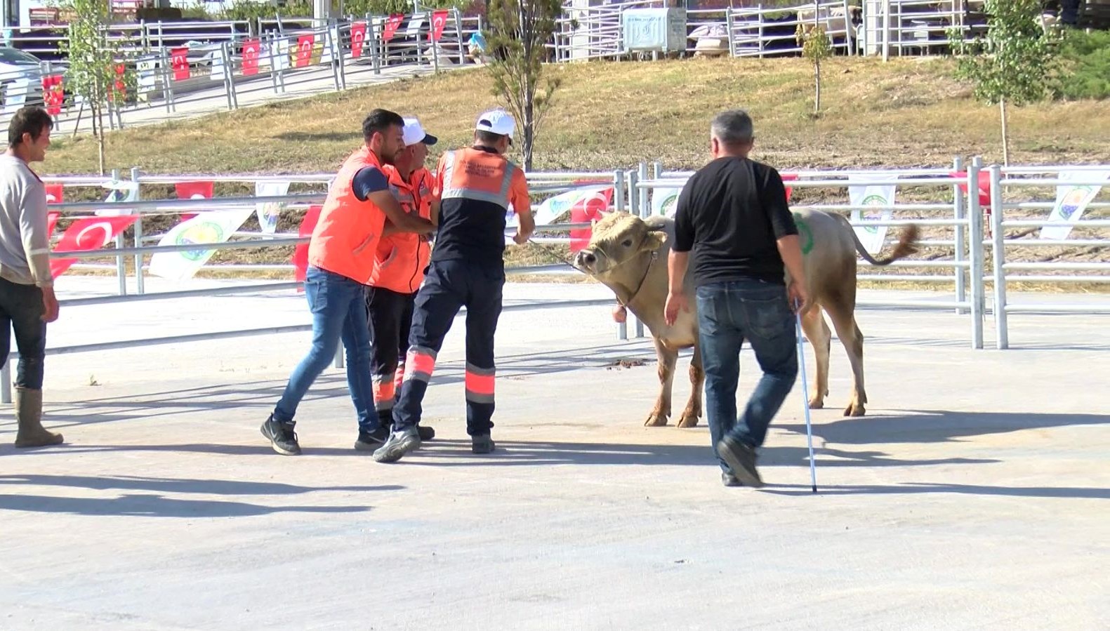 “Kurban yakalama timi” vazifeye hazır