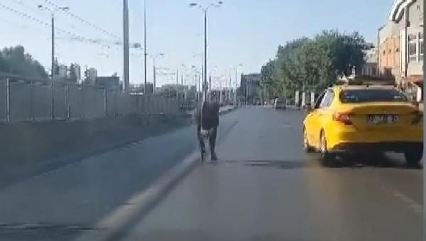 Sahibinin elinden kaçan kurbanlık boğa trafiği birbirine kattı