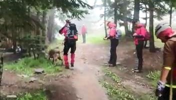 Uludağ’da şifalı ot toplarken kayboldu, iki gündür aranıyor