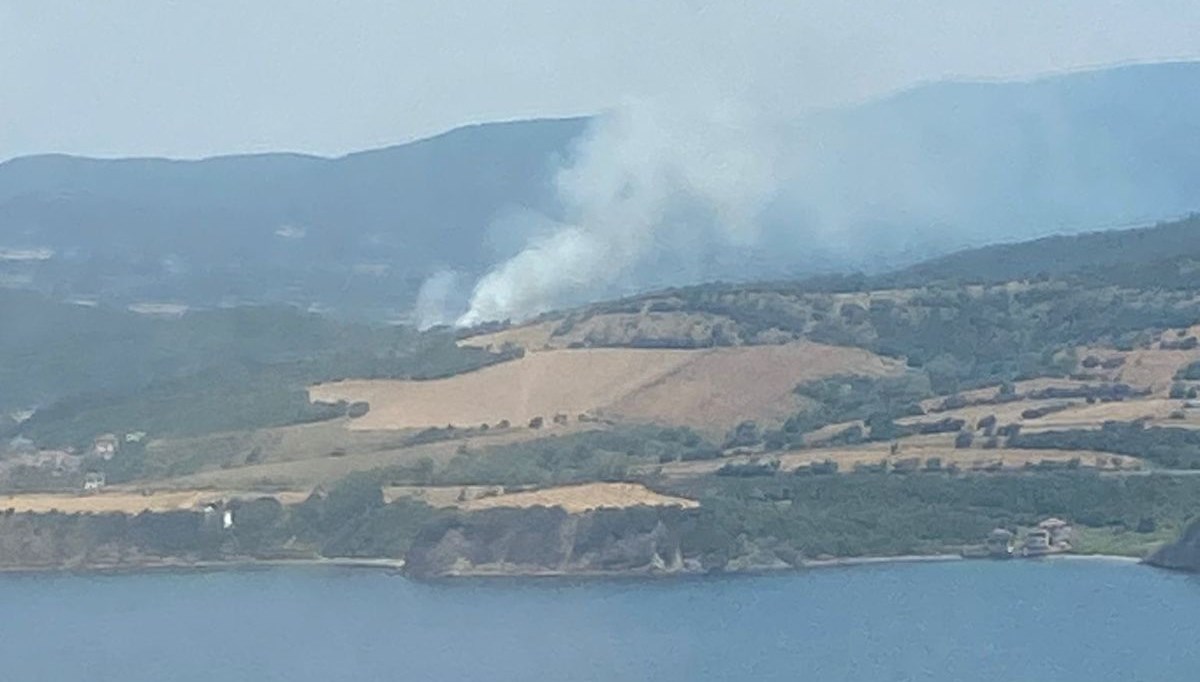 Çanakkale’de orman yangını