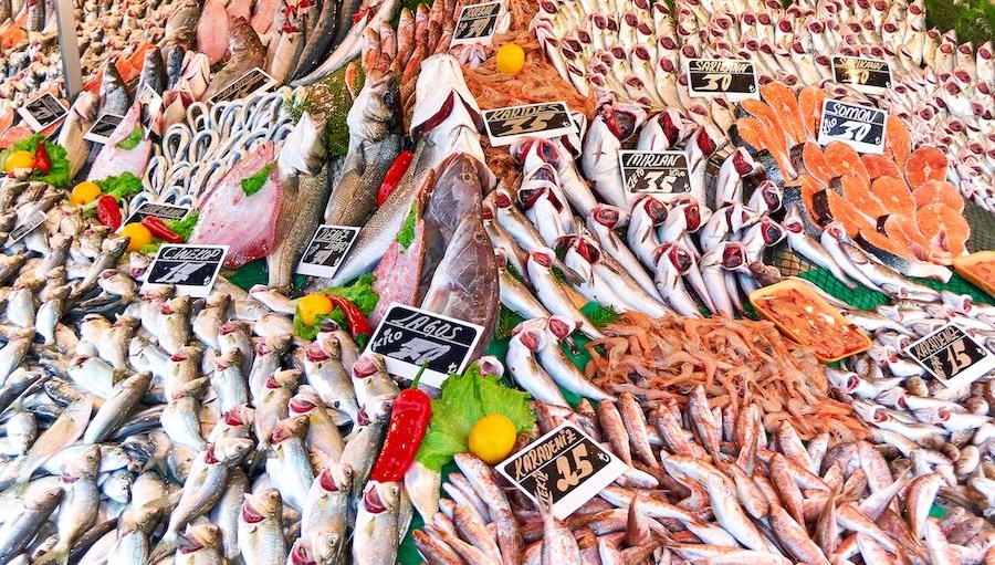 Türkiye balık ihracatında rekora koşuyor