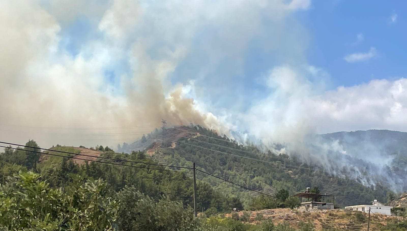 Hatay ve Balıkesir’de orman yangını